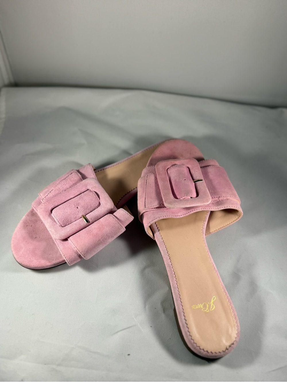 J. Crew Pink Suede Buckle Slide Mules
